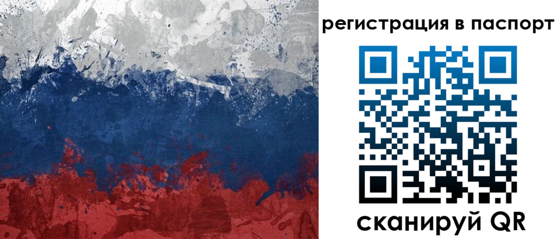 прописка гарантия в Тынде